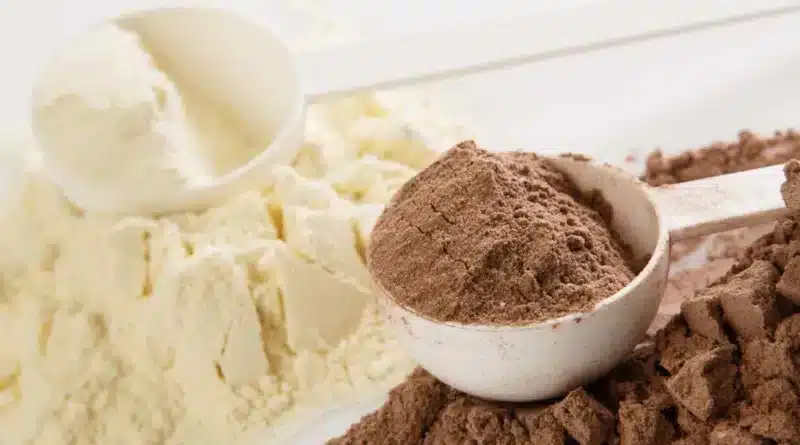 Whey Protein: Os Melhores do Mercado – Guia Completo 2023